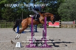BPP_8049