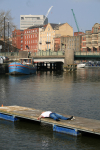 Sleeping it off_B007
