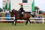 Rising Star Ridden Championship portfolio