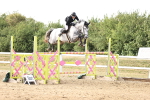 SBM_012283_Class 10 - Talent Seekers Inc 7 Year Old Horse Qualifier - 