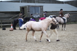 SBM_007265
