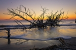 Driftwood Beach