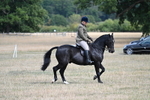 WJ7_6127