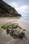 North Cornwall