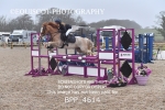 BPP_4614