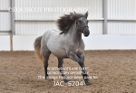 JAC_5704