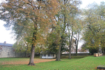 OCTOBER  2014   