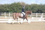 SBM_001541