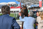 240824-Race 7-Sir Busker-2112