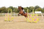 SBM_008478