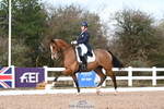 Cls 14 FEI Intermediate I Gold portfolio
