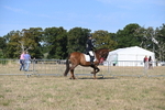 WJ6_7215