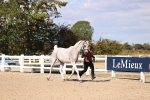 SBM_14372