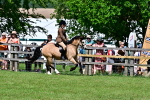 SBM_07979