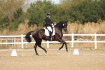 SBM_008229