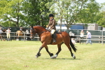 SBM_06943