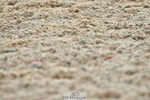 230708A-143740-03495