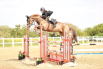 Class 13 - Senior Foxhunter - 1.20m portfolio