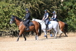 WJ6_8349