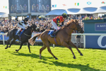 141023-Race 3-Montassib-0996
