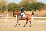 SBM_016486