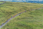 Tebay-23