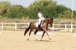 SBM_022282