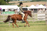 SBM_07675