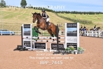 BPP_7445