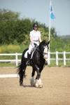 SBM_007994