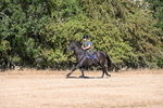 WJ6_6775