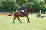 SBM_15975