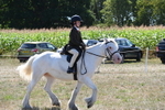 WJ6_8988