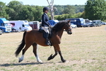 Class 37a Best Loan Pony Ridden portfolio
