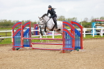 SBM_001981