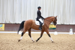 SBM_009949