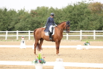 SBM_007541
