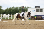 SBM_001035