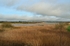 Wexford Wildfowl Nature Reserve, Co. Wexford, Ireland