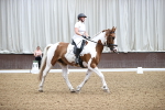 SBM_003121