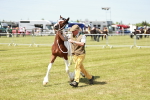 SBM_04194