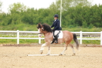 SBM_006437