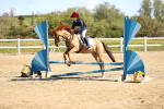 SBM_000784