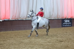 SBM_003704