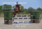 BPP_8368