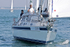 180707 FULMAR GBR4398L 2F7A7655