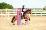 SBM_006580