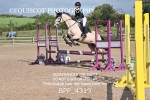 BPP_4319