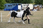 WJ6_6483