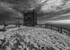 Rivington Pike